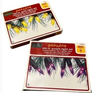 HOLIDAY LIVING ⭐️  100ct. Light set